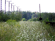 min 655 4.jpg min 655 4.jpg